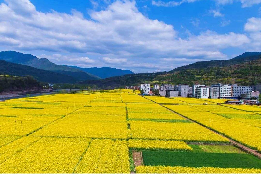 黄祖辉:实现美丽乡村建设与高质量发展相得益彰