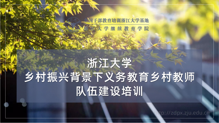 乡村振兴背景下义务教育乡村教师队伍建设培训班