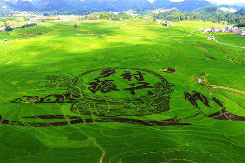 《关于加快推进乡村人才振兴的意见》印发