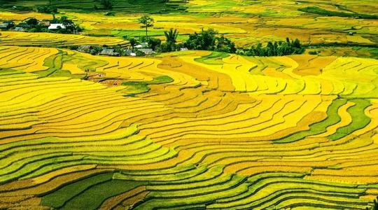 《中共中央 国务院关于全面推进乡村振兴加快农业农村现代化的意见》发布