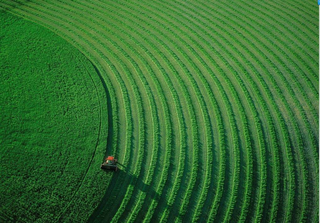 《关于进一步加强惠民惠农财政补贴资金“一卡通”管理的指导意见》印发