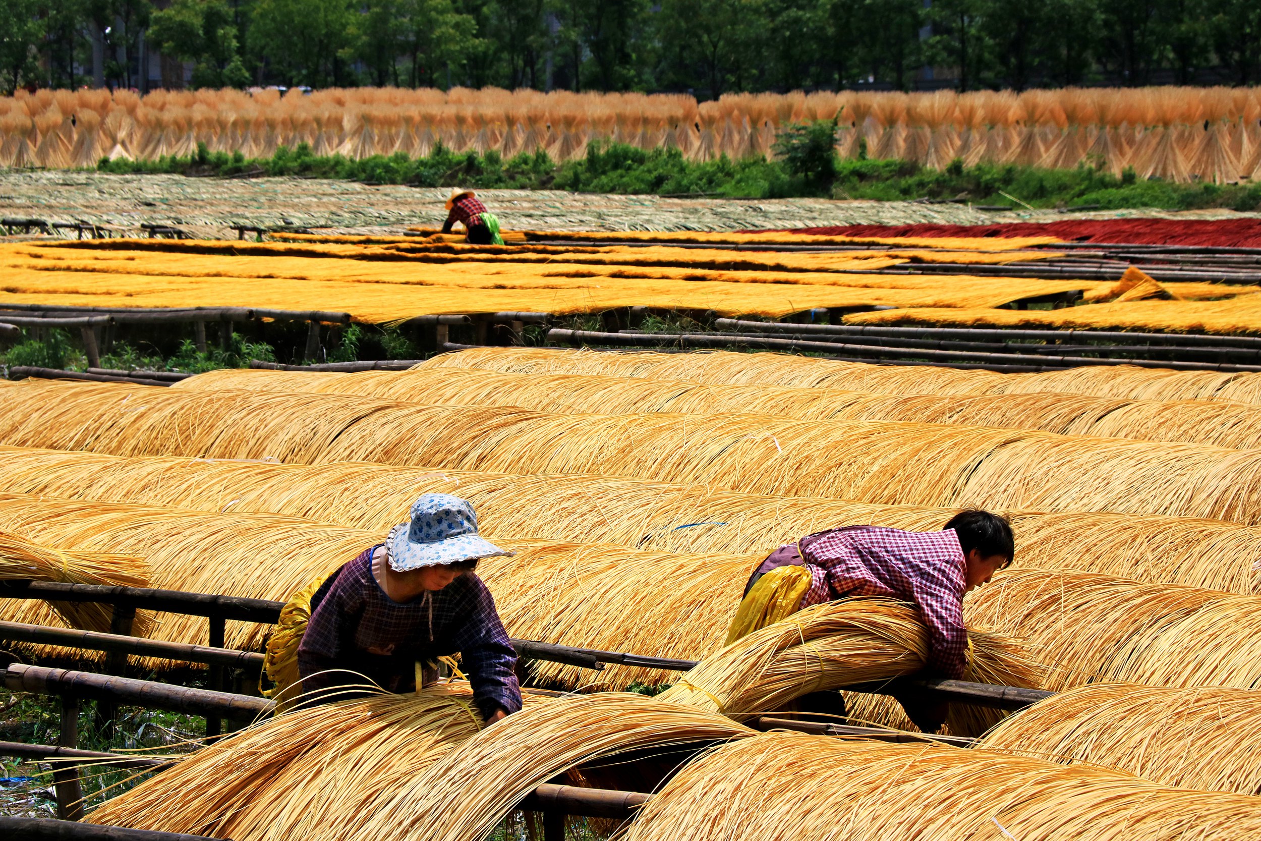 县域经济发展迎来新利好