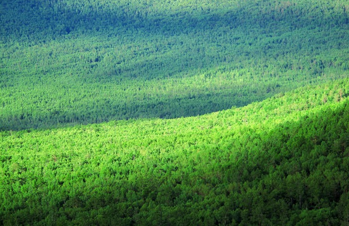 【吉林】《吉林省全面推行林长制实施方案》 印发