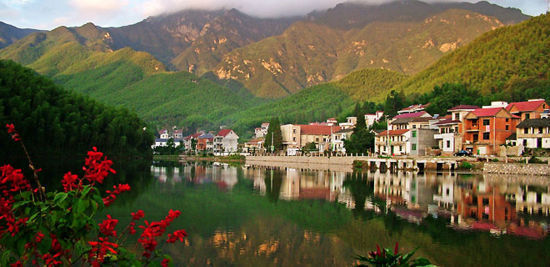 【安徽】安徽省乡村振兴促进会成立！