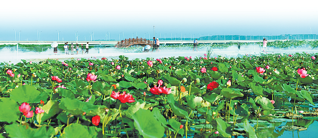 【河南】河南省全面启动乡镇国土空间规划编制 建设特色城镇和美丽乡村