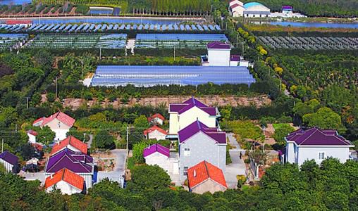 【湖南】湖南省“两办”印发《意见》:进一步加快发展壮大农村集体经济