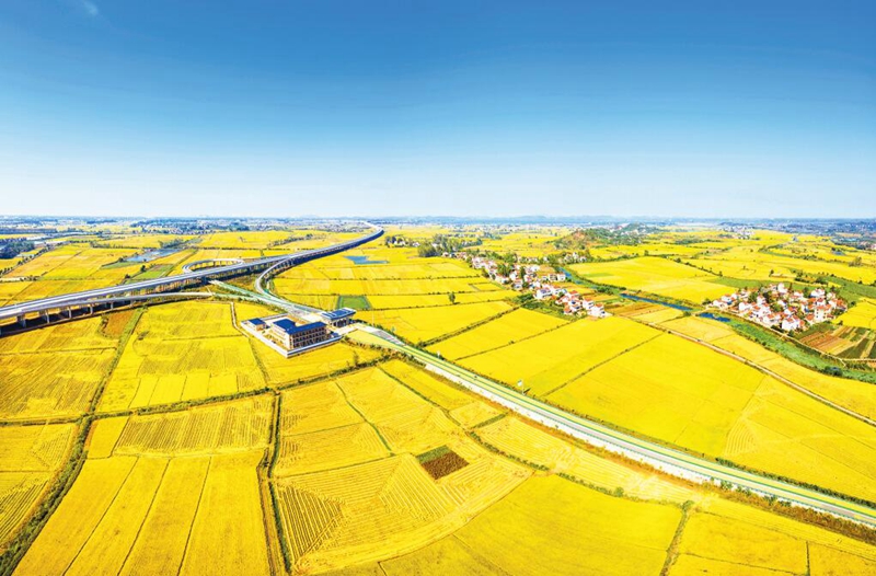 【四川】聚焦两大重点助推乡村振兴 四川全面启动“万企兴万村”行动