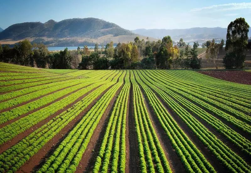 【陕西】陕西多措并举促进土地节约集约利用