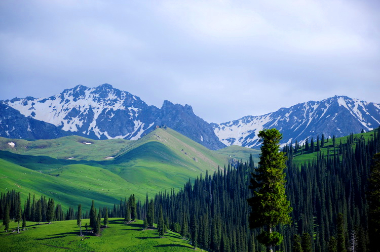 【北京】《北京市人民政府办公厅关于本市发展新型集体林场的指导意见》发布