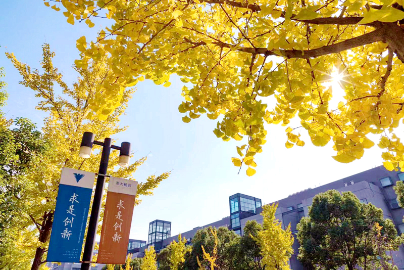 教育部：浙江大学传承红色基因 厚植家国情怀 深入推进党史学习教育