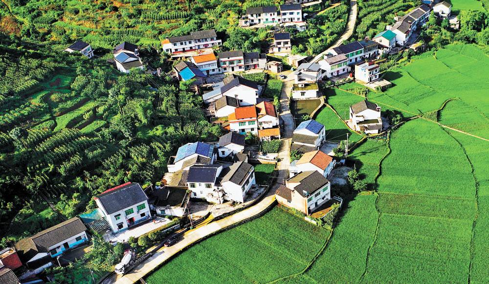 浙大教授黄祖辉论：牢牢抓住农民农村这个重点