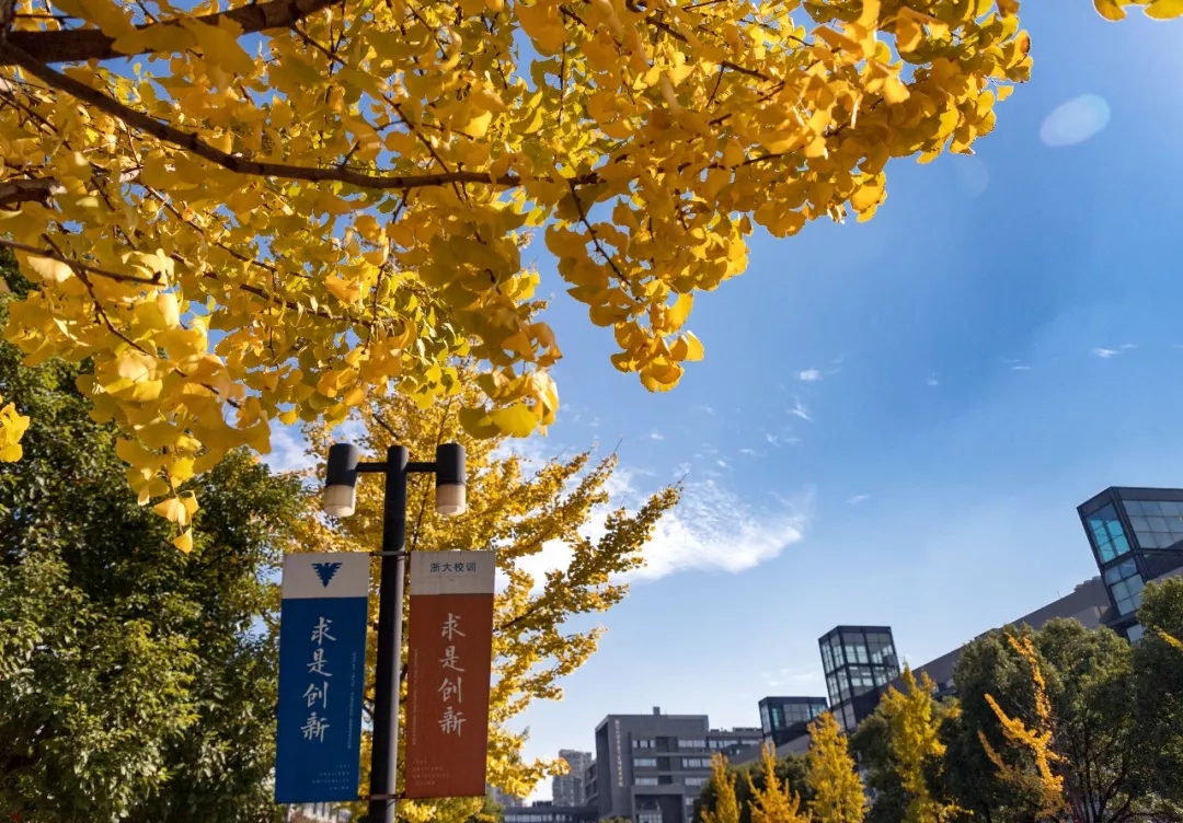 浙江大学及21个学科入选第二轮“双一流”建设名单