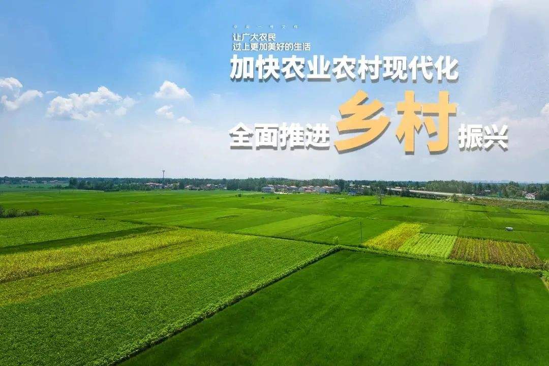 《“十四五”推进农业农村现代化规划》印发