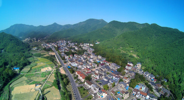 2022年中央一号文件发布!农机、种业、数字乡村等概念站上风口!