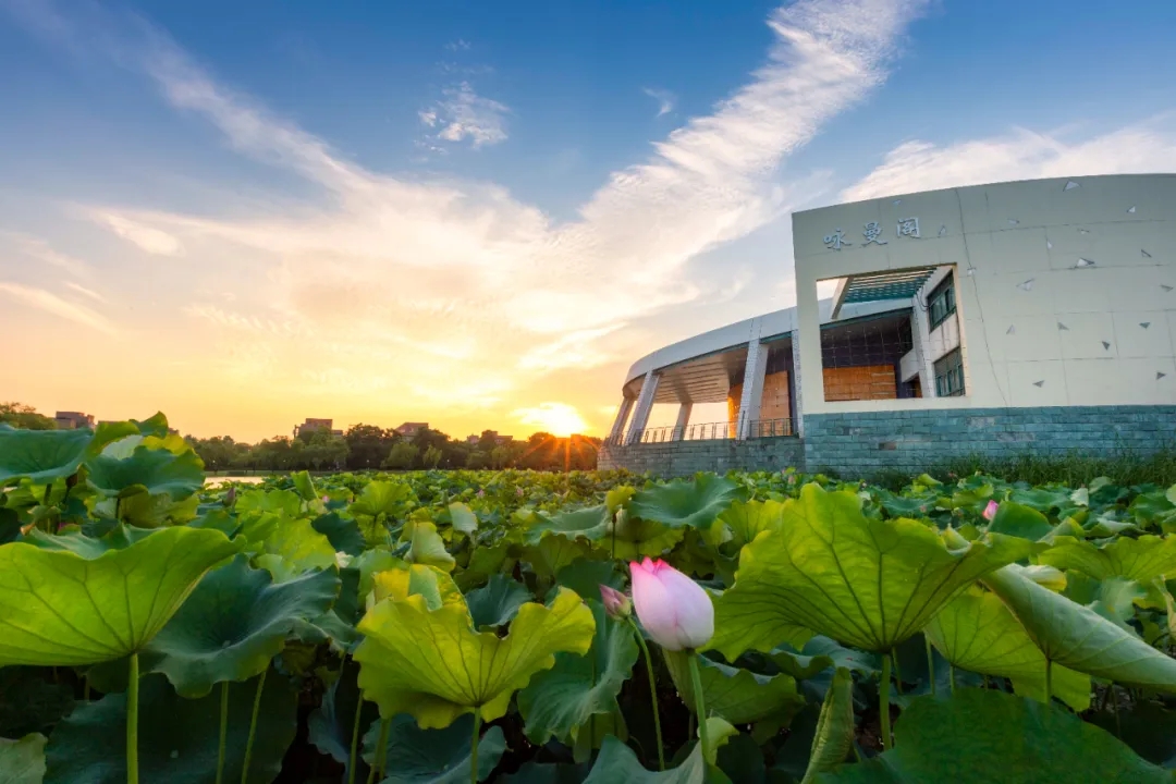 浙江大学第二轮“双一流”建设学科一览