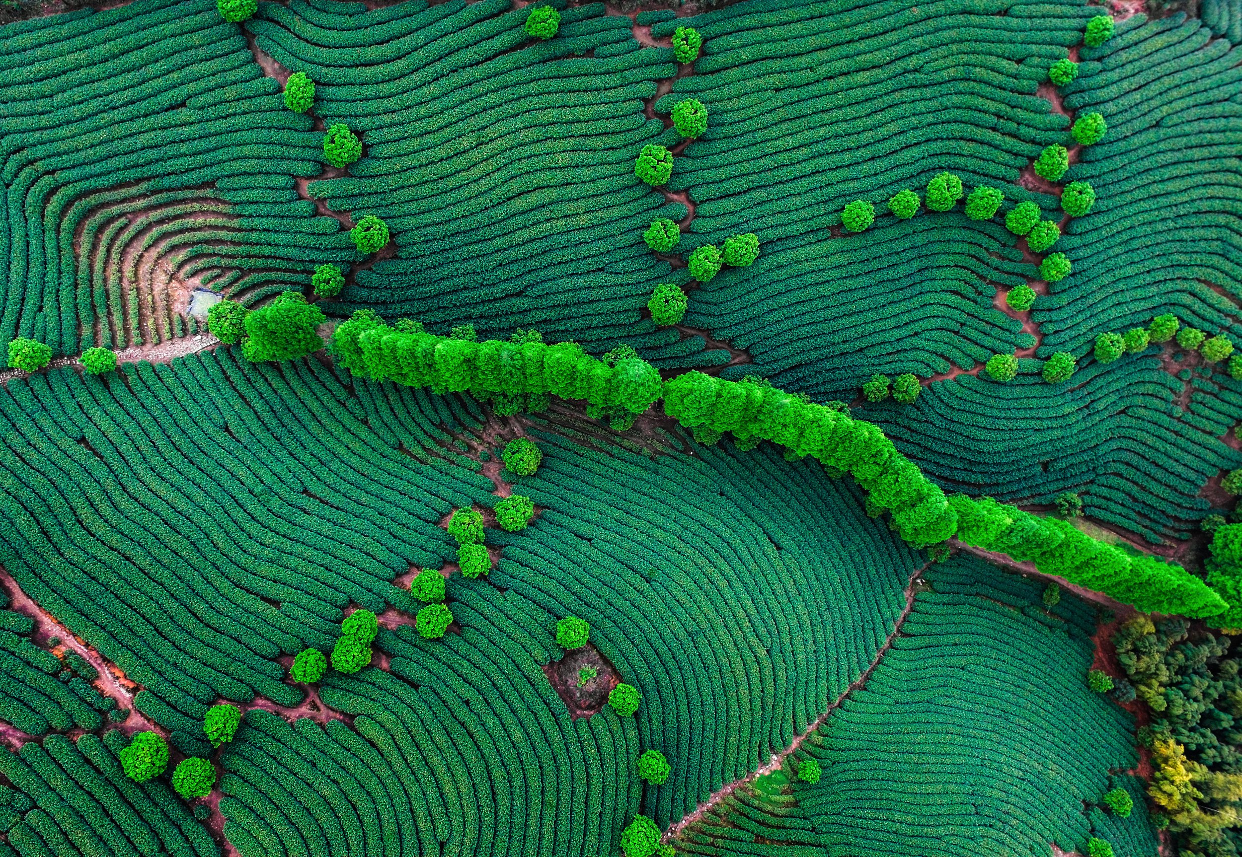 《关于加快推进城镇环境基础设施建设的指导意见》发布