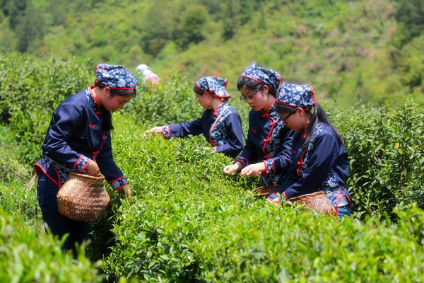 《推进生态农场建设的指导意见》印发