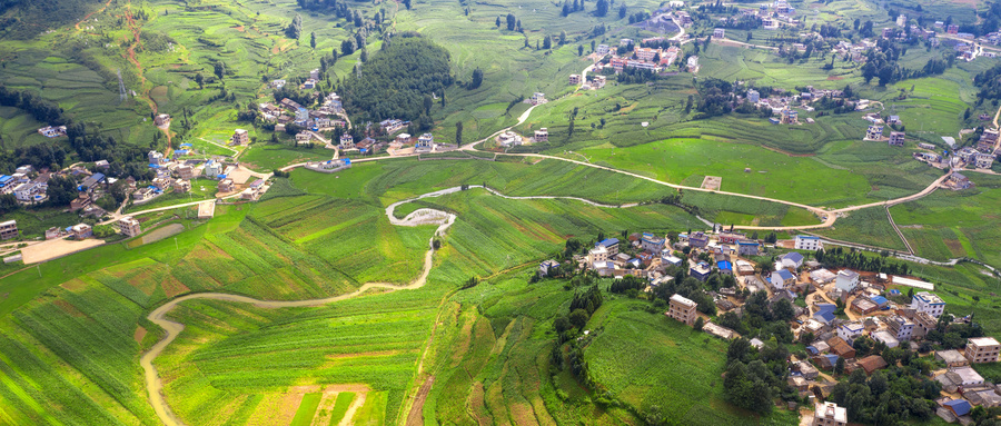 农业农村部开展乡村产业振兴带头人培育“头雁”项目启动培训