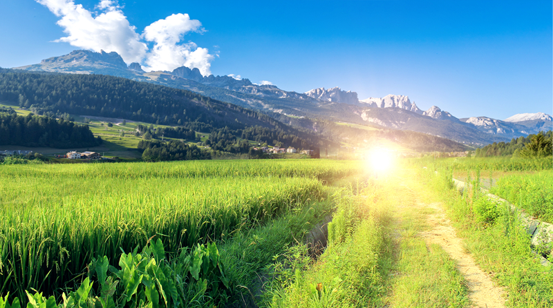 《乡村振兴战略规划实施报告（2018—2022年）》显示：乡村振兴战略五年规划目标任务顺利完成