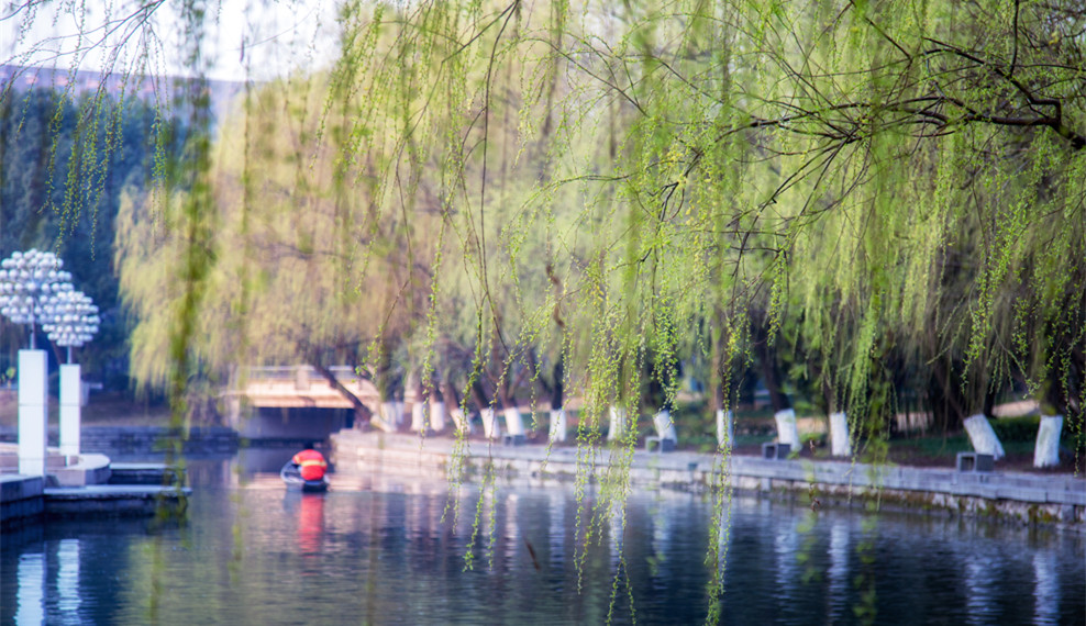 浙江大学的党政干部培训由哪个部门对接安排？