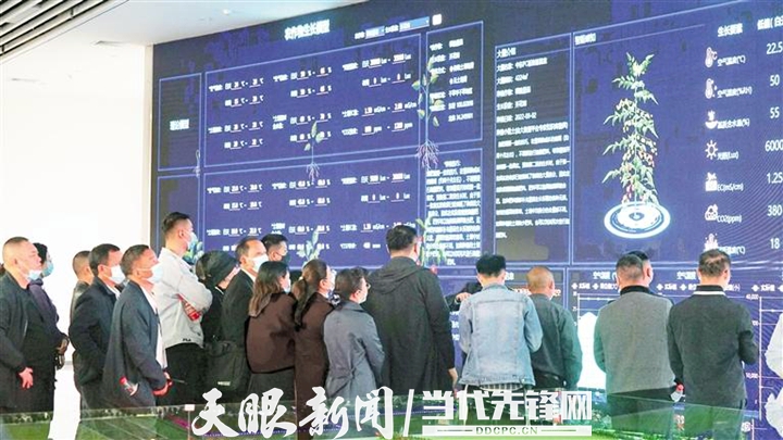 媒体报道|贵州日报:贵州多维度打造乡村产业人才矩阵 “头雁”领航 “雁阵”齐飞