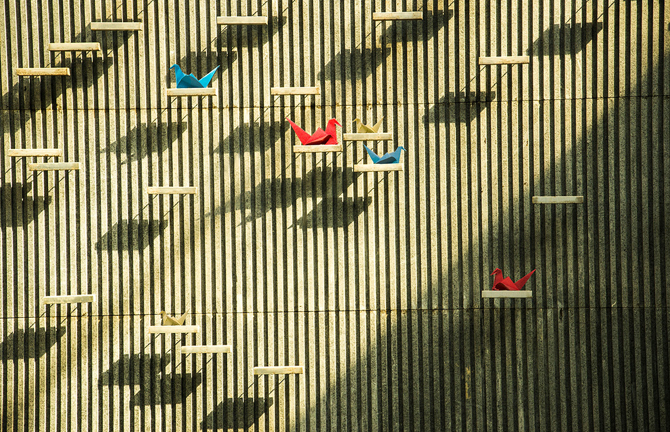 时隔50天再上《自然》：农村老龄化对农业影响如何？浙大团队算给你看！