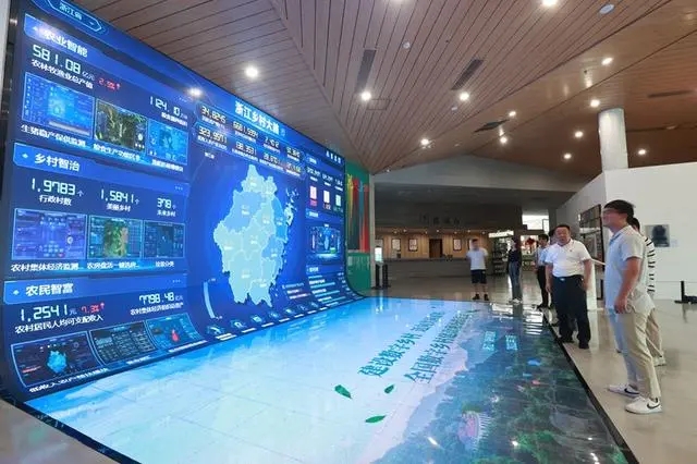 全国唯一的数字乡村引领区，浙江怎么建？