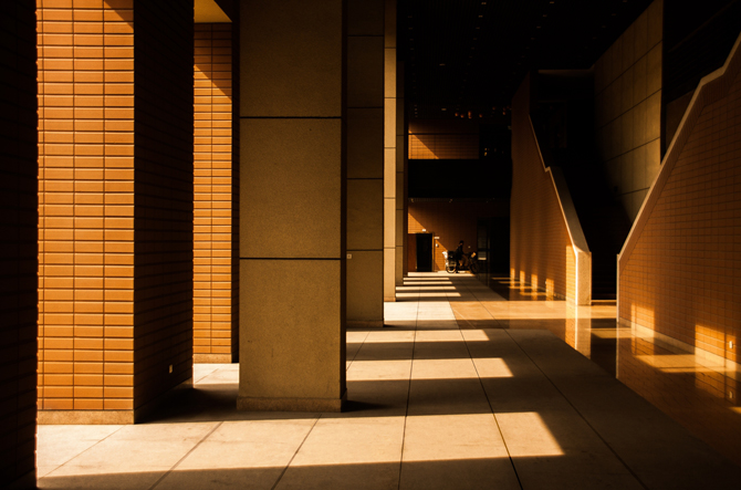 首批全省高校示范性党群服务中心创建单位名单公布！浙江大学入选