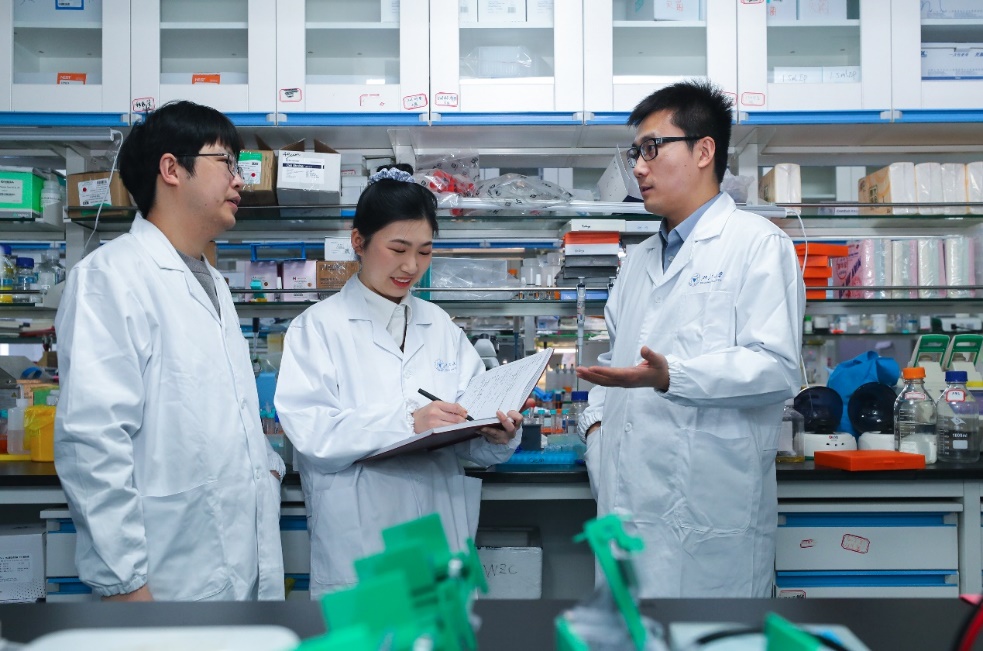 吃鱼为什么会变聪明？浙大成果登《科学》！