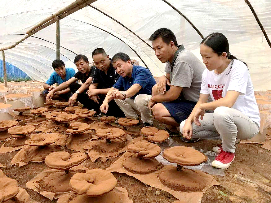 媒体报道|农民日报:量身定制 谋定而动——看浙江大学农业科技推广之道