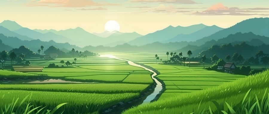 国家乡村振兴局开展农村厕所革命“提质年”！