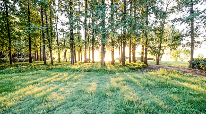 首次光临亚洲！世界生物圈保护区大会将在杭州举行