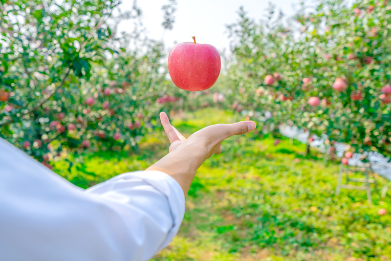 农业农村部发文全面实行家庭农场“一码通”管理服务制度