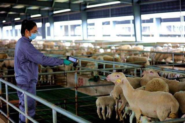 《浙江省智慧农业“百千”工程建设实施方案（2023—2027年）》发布