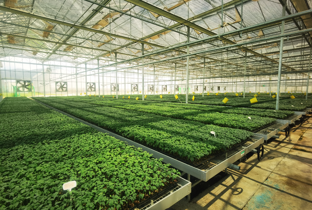 浙江省“智慧农业十大模式”发布！