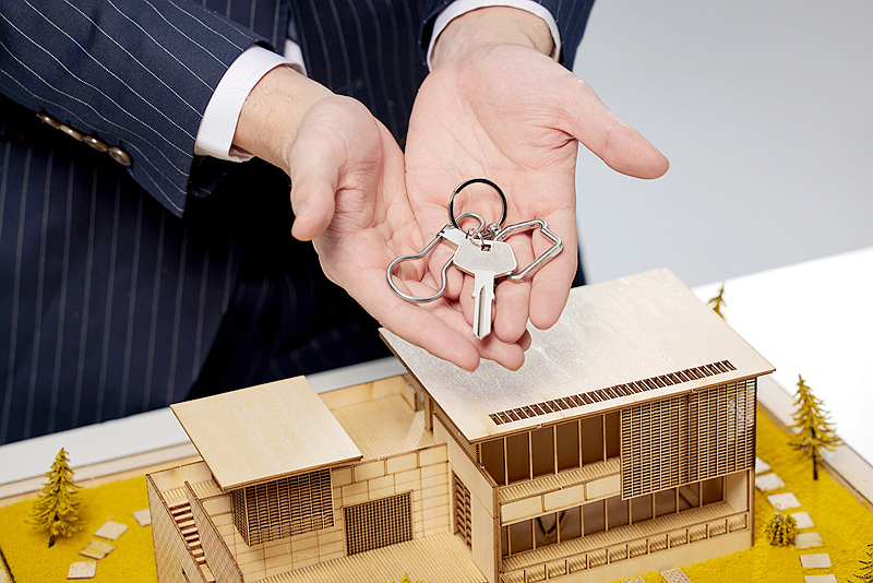 新“房改”来了!新加坡模式适合中国吗?