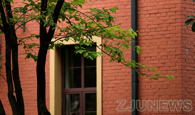 安徽“双创汇”走进繁昌暨浙大繁昌科创中心落成典礼举行