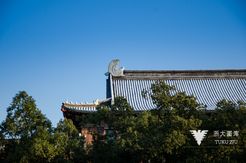 “山与水”系列讲座2023年度论坛在浙江大学举行