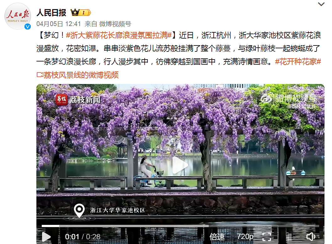 【人民日报】#浙大紫藤花长廊浪漫氛围拉满# 华家池校区的紫藤长廊又上热搜了!