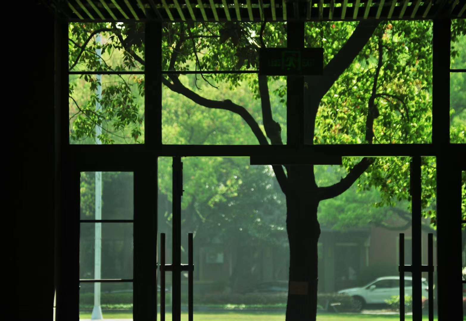 浙江大学干部教育学研究生暑期实训剪影（二）