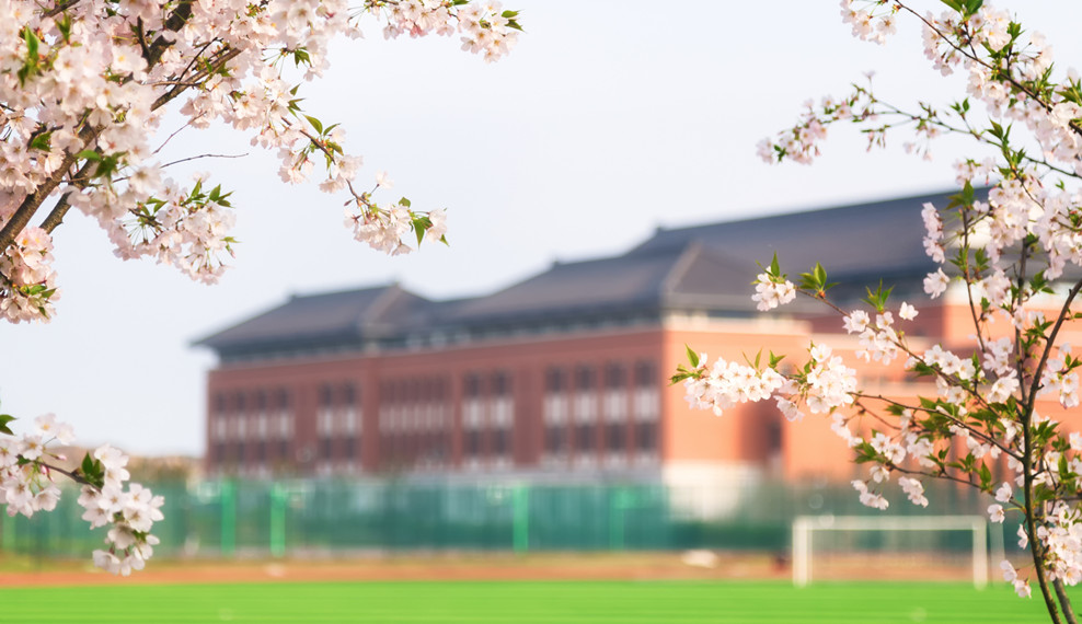 【浙江教育报】朝着建成教育强国的战略目标扎实迈进