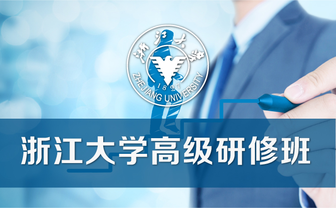 浙江大学品牌战略与营销策划专题研修班主要针对哪些人群？