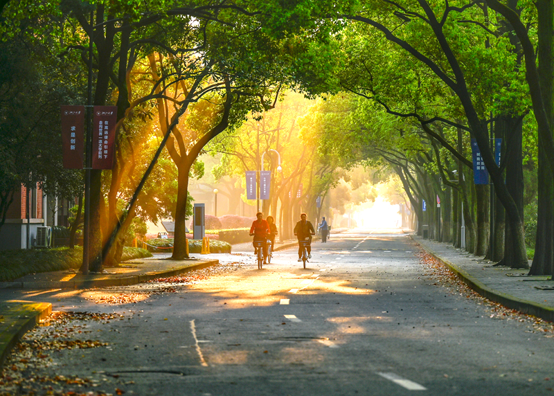 华池印记 | 浙江大学华家池校区的秋天