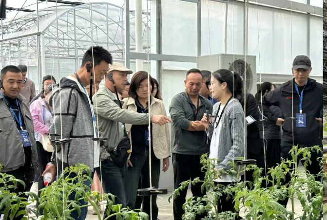 “头雁” 项目 | 4000名“新农人”在浙大“起飞”,绘就农业强国人才底色