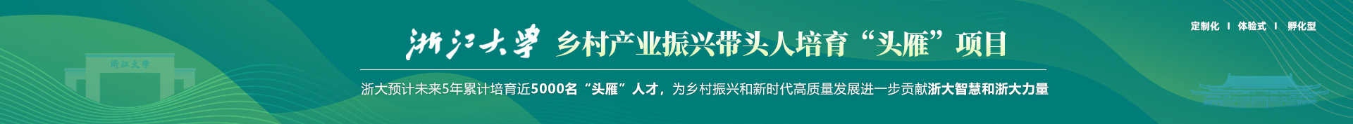 浙大头雁项目