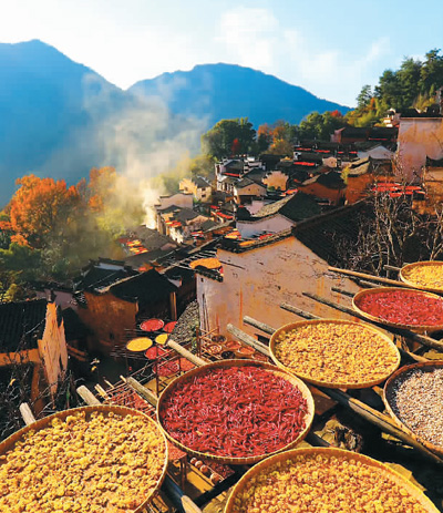 说明: http://www.gov.cn/xinwen/2018-12/05/5345806/images/b54464f5738348e1ac5785ddc6af4434.jpg